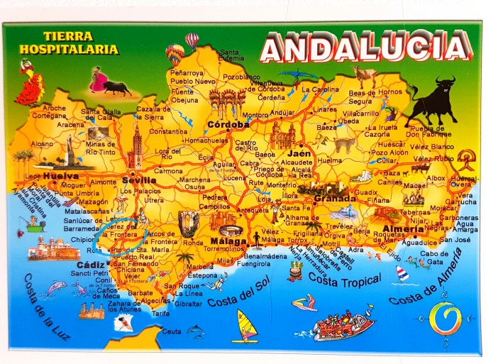 #freeelectrons.family's big move from a big city bustle of Washington D.C. to a quieter Jerez de la Frontera, Cadiz, Andalucia, Spain