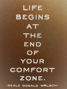 life begins at the end of your comfort zone by Neale Donald Walsch.  family lifestyle change to spend more time together #freeelectrons.family