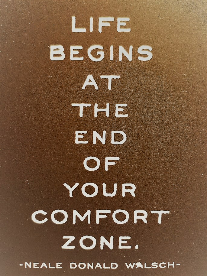 life begins at the end of your comfort zone by Neale Donald Walsch. family lifestyle change to spend more time together #freeelectrons.family