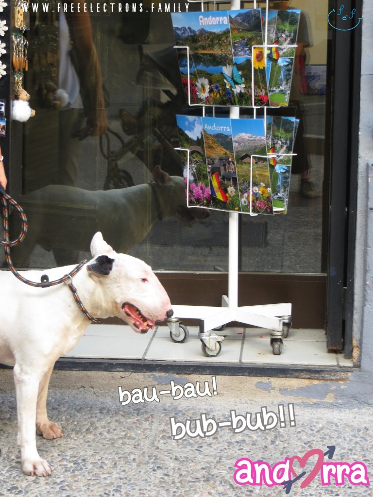 Picture of a dog in front of a store with postcards. Text reads: "bau-bau! bub-bub!!" or Woof-woof in Catalan. Andorra. www.freeelectrons.family