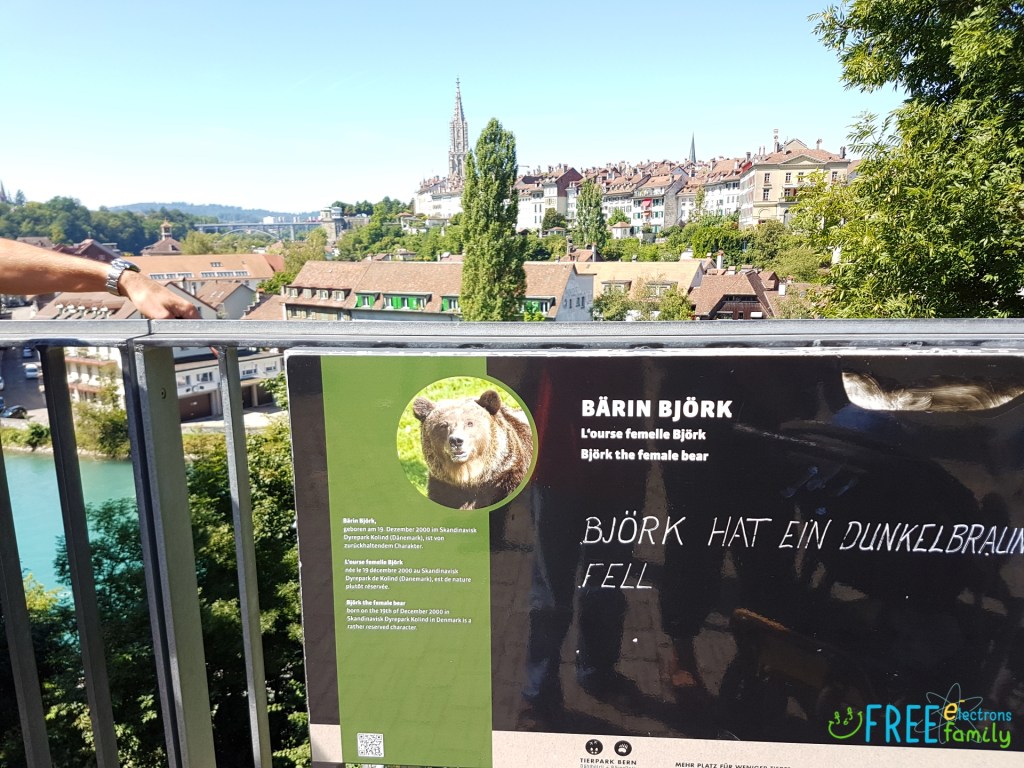 A view of a sign that reads "Bjork the female Bear" in German, French and English with the old city of Bern in the background.
www.FreeElectrons.Family 