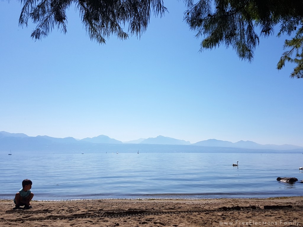 A lone young boy and a swan on Lake Geneva in Lausanne, Switzerland, with the Swiss alps in the background.

www.FreeElectrons.Family