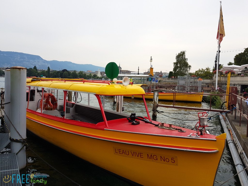 Yellow taxi boats called "Mouettes" on the pier.

www.FreeElectrons.Family