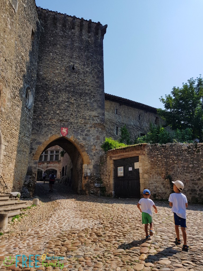 Two young boys, walking on cobblestone street towards a stone archway entrance with a dragon against a red banner crest of a medieval village.

www.FreeElectrons.Family