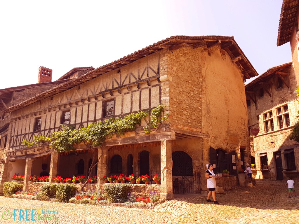 Traditional stonehouse building with decorative wooden beams on the outer wall and hanging green plants and red flowers.

www.FreeElectrons.Family