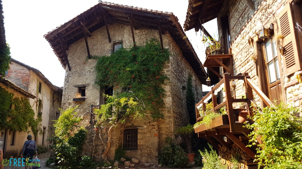 A house made of stones with luscious plants growing up its external walls.

www.FreeElectrons.Family