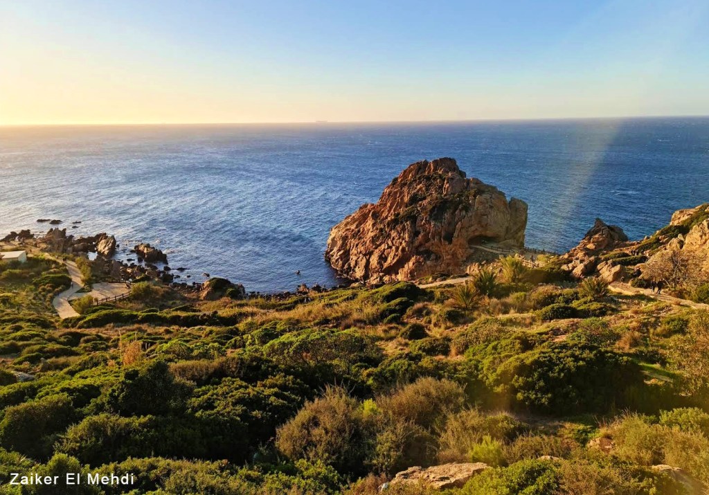 Verdant rugged cliff towards the ocean.